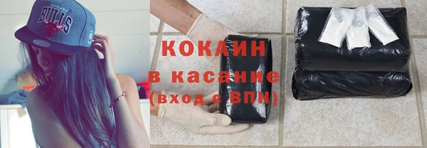 PSILOCYBIN Богданович