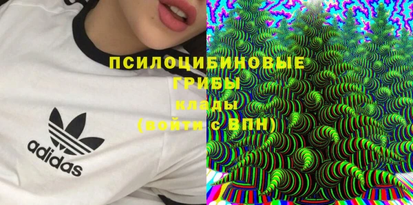 PSILOCYBIN Богданович