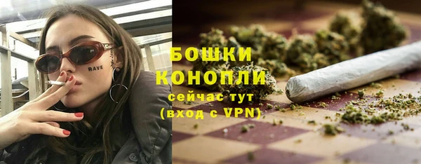PSILOCYBIN Богданович