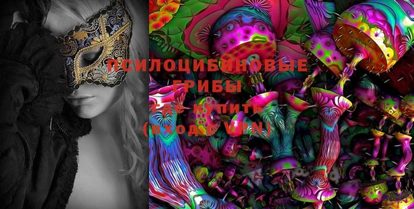 PSILOCYBIN Богданович